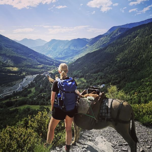 Eselwandern in Frankreich - Provence -  Sdalpen