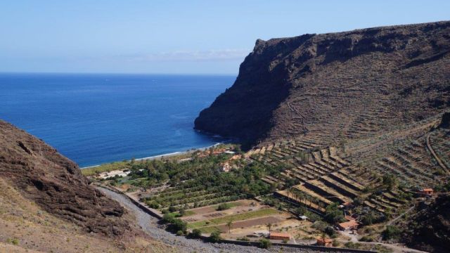 eulaub in der finca el cabrito auf la gomera