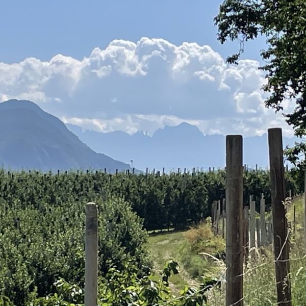 Wandern von Sdtirol zum Gardasee - ohne Gepck durch die Alpen