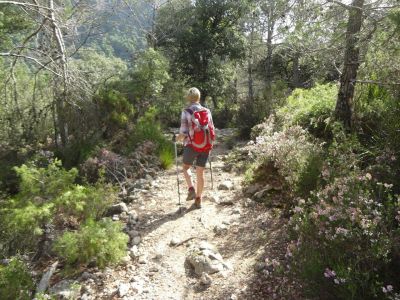 Sanftes Reisen- wandern auf Mallorca 