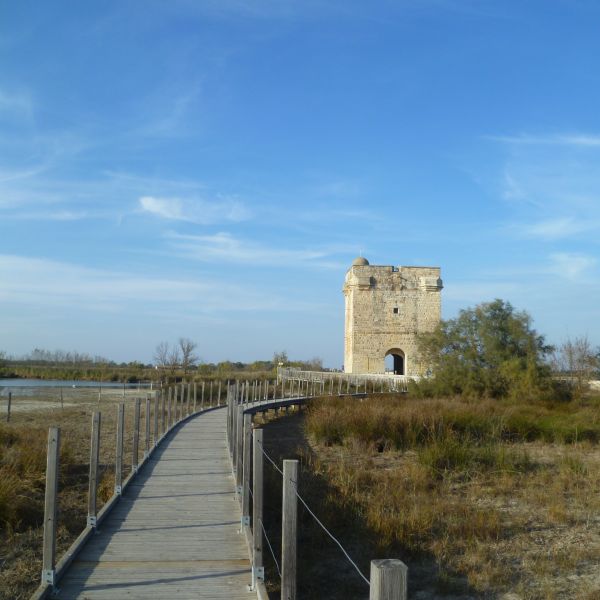 Familienurlaub im Landhaus Mas Fonrouge - Camargue/Sdfrankreich