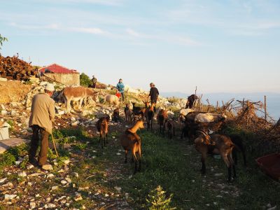 albanien authentisch wandern ohne gepäck