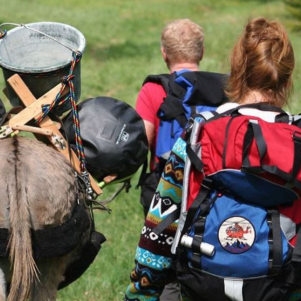 Eselwandern im Bayerischen Wald - Region Sonnenwald