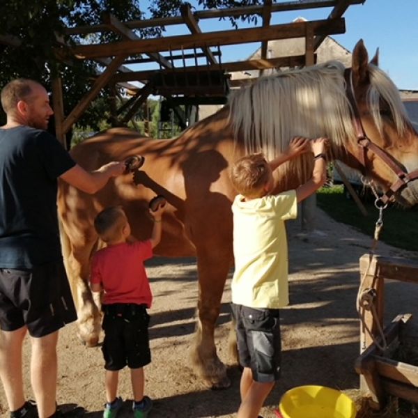 Planwagen-Urlaub in den Vogesen - Frankreich