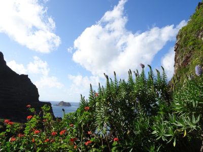 Madeira Wandern organisiert mit Gepäcktransfer