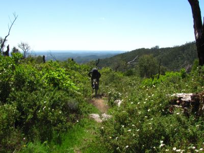 Mountainbiken im Urlaub in Serra Monchique Portugal