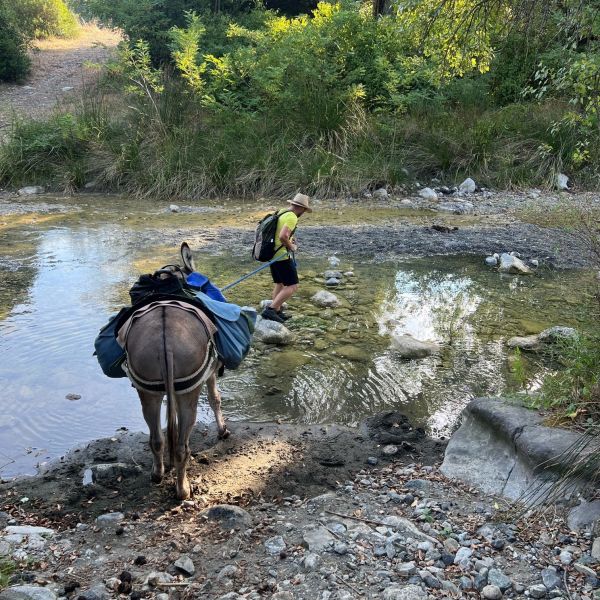 Eselwandern in der Toskana - Val di Cecina - Italien