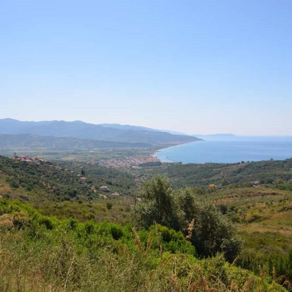 Bio-Agriturismo im Cilento - Sditalien