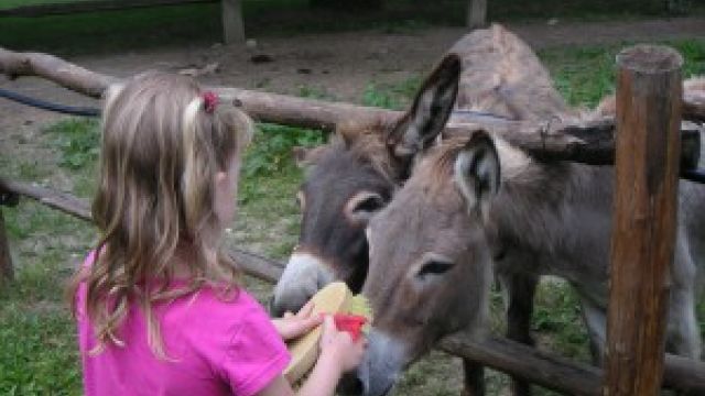 Familienurlaub in Umbrien