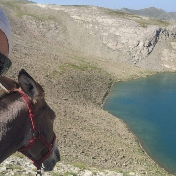Eselwandern in Frankreich - Provence -  S�dalpen