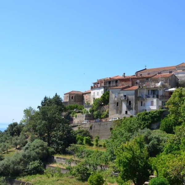 Bio-Agriturismo im Cilento - Sditalien