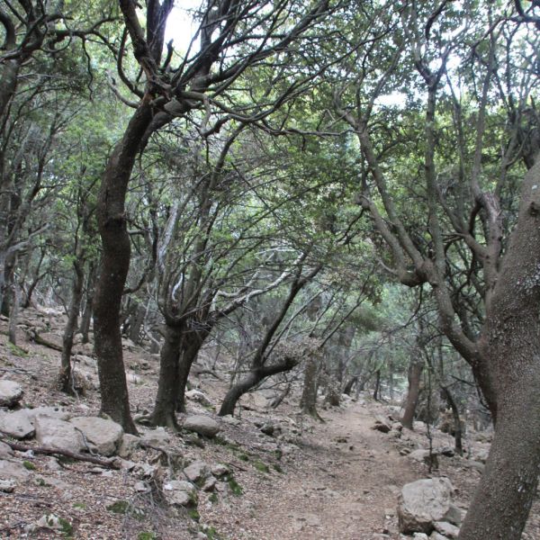 Ksten- und Bergwanderung auf Pilgerwegen - Mallorca