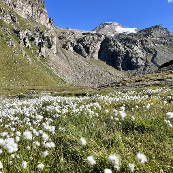 Bergwandern ohne Gepck im Valle del Lys - Aostatal