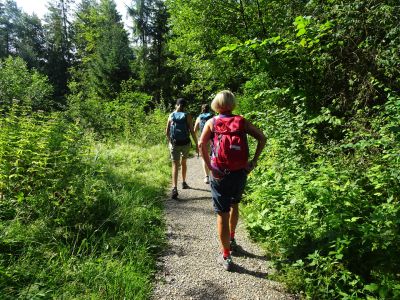 weitwandern knig ludwig weg wanderer