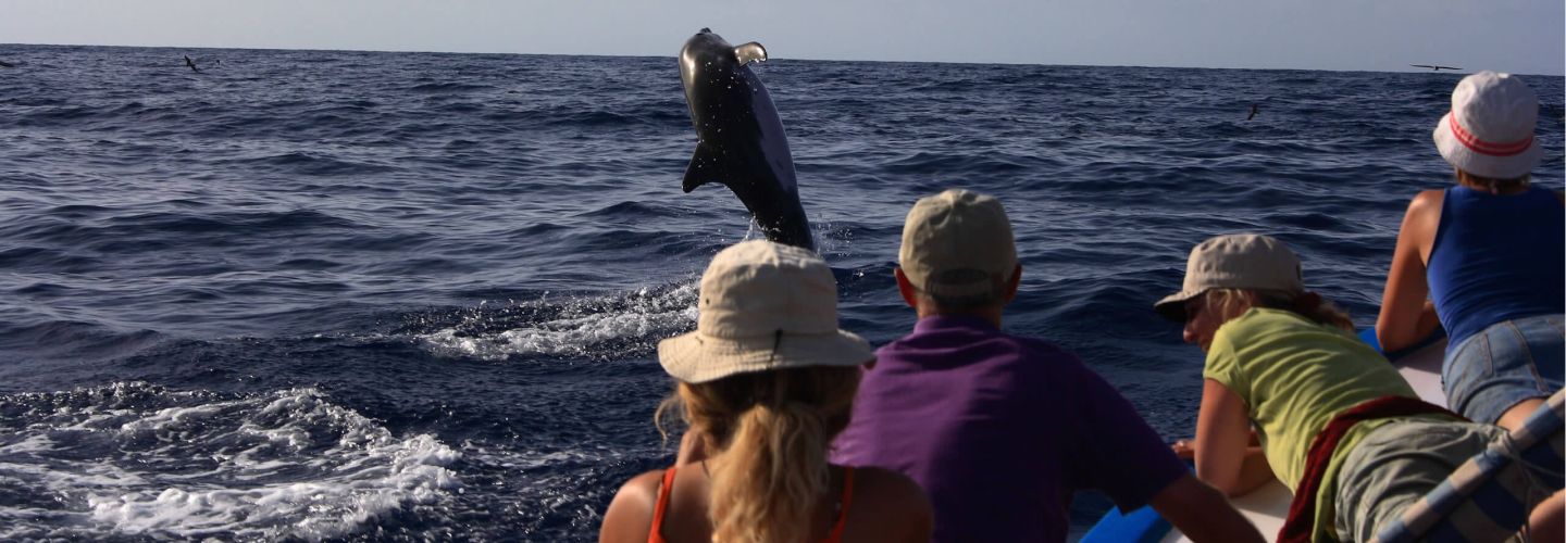 Familienurlaub Whale Watching La Gomera Kanaren