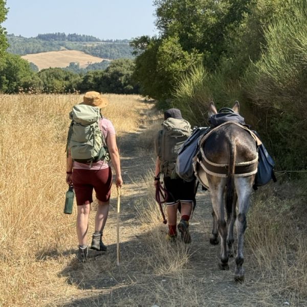 Eselwandern in der Toskana - Val di Cecina - Italien