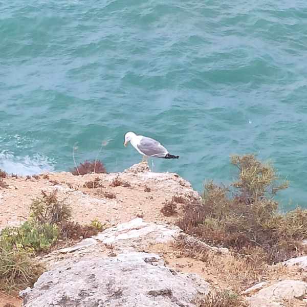 Familienurlaub in der Serra Monchique - Algarve - Portugal