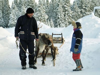 Rentierschlittenfahrt in Schwedisch Lappland.