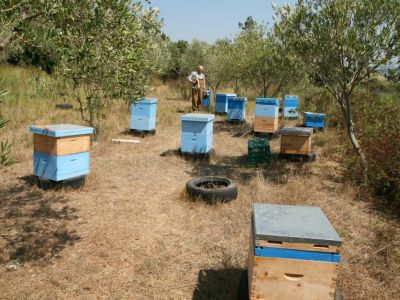 Bio-Bauernhof Agrotourismus Korfu Vraganiotika - Biennen