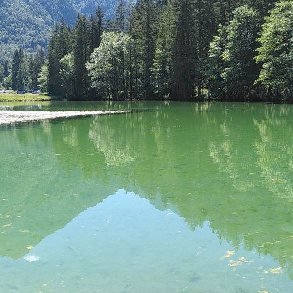 Urlaub auf dem Bio-Bauernhof im Herzen der Steiner Alpen - Slowenien