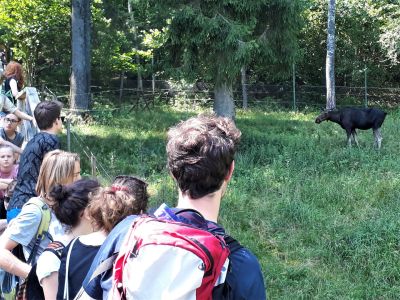 urlaub in lettland riga und gauja nationalpark