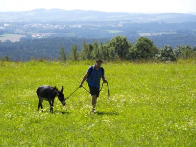 Wandern im bayerischen Wald mit Eseln Familie