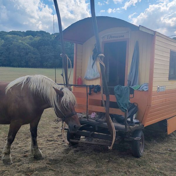 Planwagen-Urlaub in den Vogesen - Frankreich