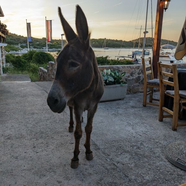 Segelurlaub in Kroatien mit Kindern (ab Zadar)