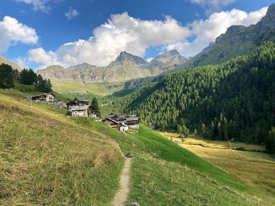 wandern mit gepcktransport italienische alpen monte rosa