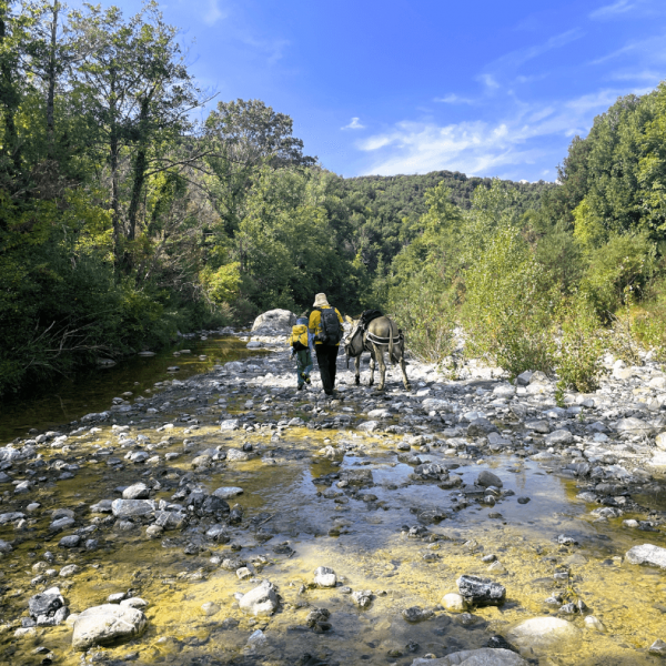 Eselwandern in der Toskana - Val di Cecina - Italien