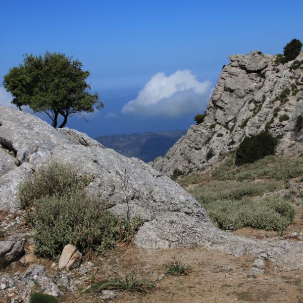 Ksten- und Bergwanderung auf Pilgerwegen - Mallorca