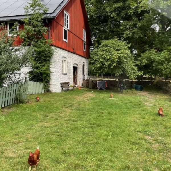 Familienurlaub auf dem Bauernhof auf land - Schweden