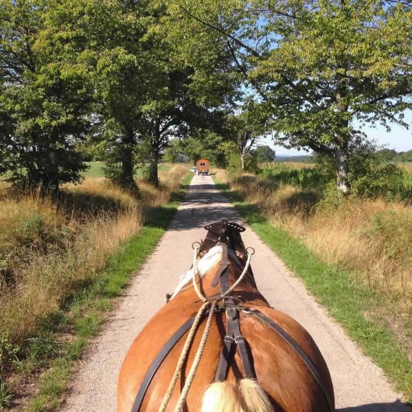 Planwagen-Urlaub in den Vogesen - Frankreich