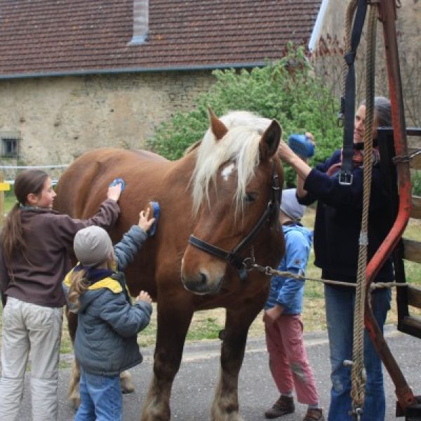 Planwagen-Urlaub in den Vogesen - Frankreich