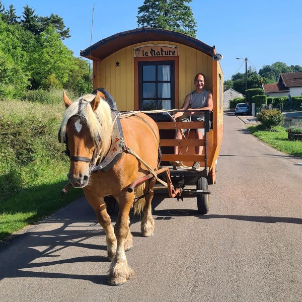Planwagen-Urlaub in den Vogesen - Frankreich