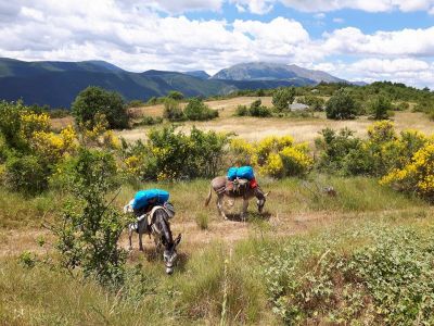 eselwandern mit gepaecktransport italien