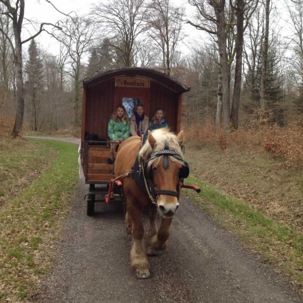 Planwagen-Urlaub in den Vogesen - Frankreich