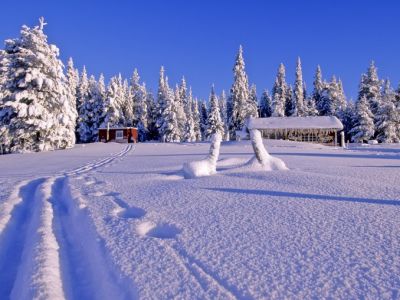 Skispur im verschneiten Lappland (Foto: Sandra Peter und Jochen Oetinger)