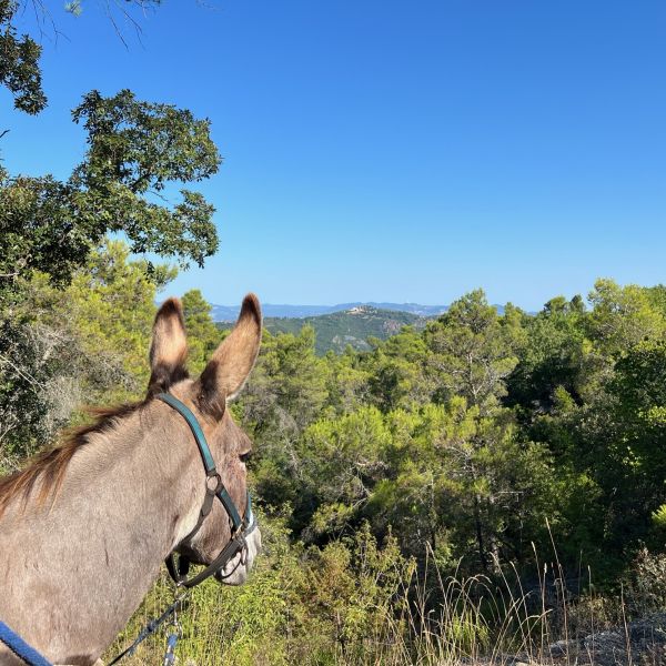 Eselwandern in der Toskana - Val di Cecina - Italien