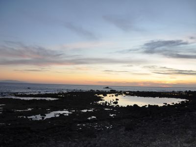 whale watching kanaren gomera strand