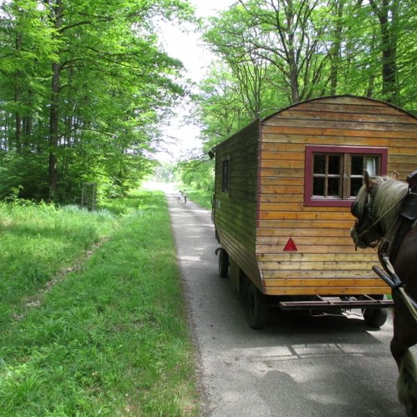 Planwagen-Urlaub in den Vogesen - Frankreich