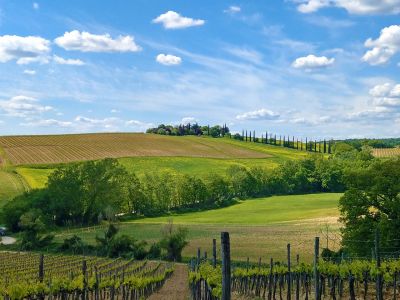 Italien Toskana Chianti Wanderwoche individuell