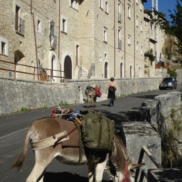 Eselwandern in den Abruzzen: Trekking-Abenteuer in Italien