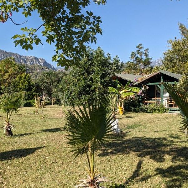 Strandurlaub Trkei: Bungalow im Naturparadies Cirali - Lykien