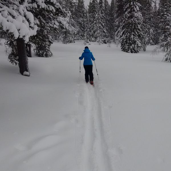 Natur pur: Winterabenteuer im Wildnisdorf - Lappland   