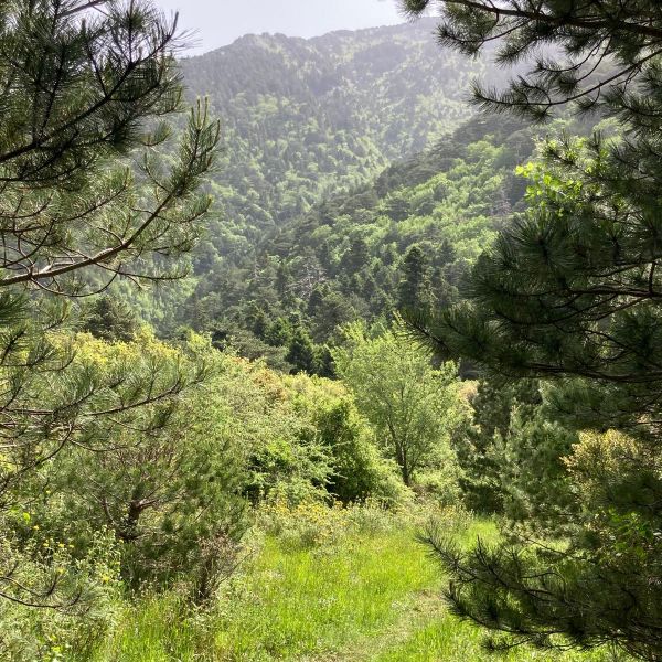 Albanien Berge und Meer - Wandern und Trekking an der Kste