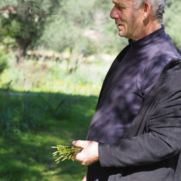 Agriturismo auf Sardinien - Urlaub zwischen Bergen und Meer