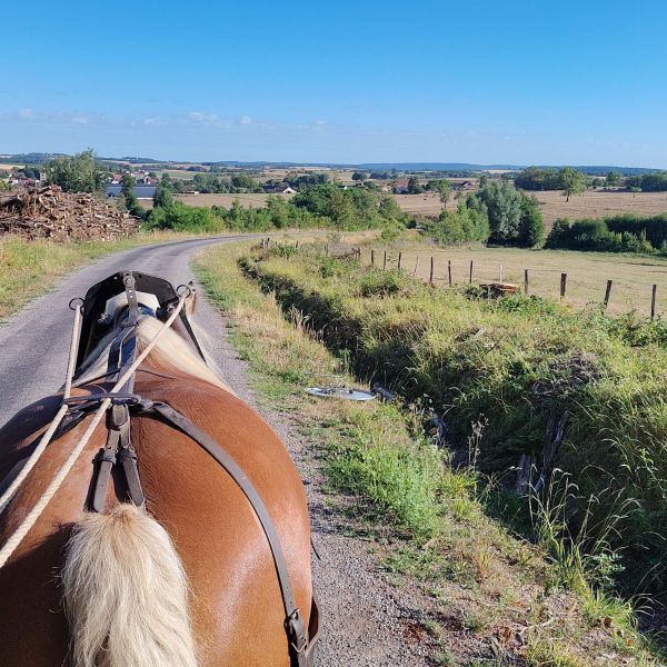 Planwagen-Urlaub in den Vogesen - Frankreich