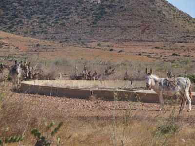 Der Hof hat eigene Esel Wandern Casa