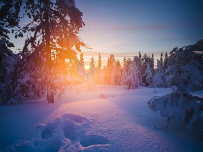 midwinter in finnland licht